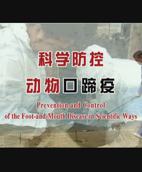 ƌW(xu)؄(dng)